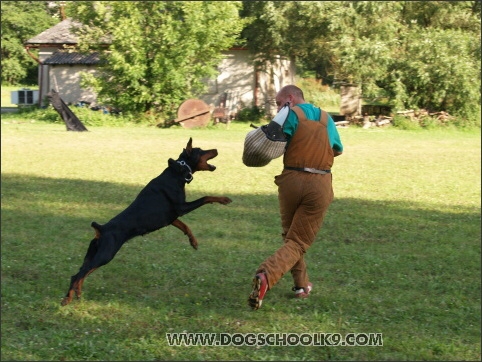 Training camp - Lukova 2007